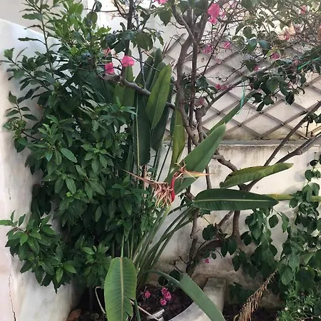 Scogliera Del Sud